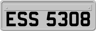 ESS5308