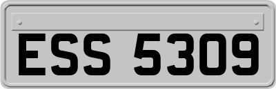 ESS5309