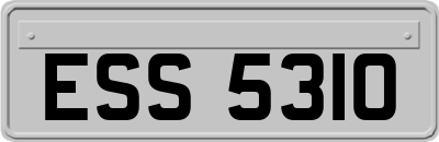 ESS5310