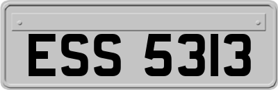 ESS5313