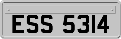 ESS5314