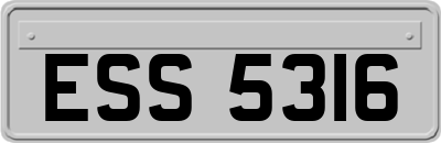 ESS5316