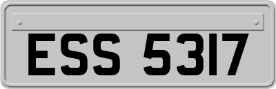 ESS5317