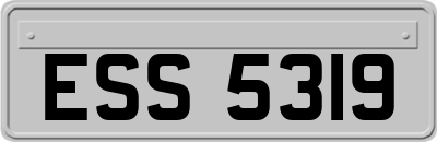 ESS5319