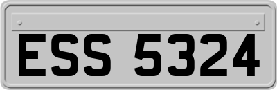 ESS5324