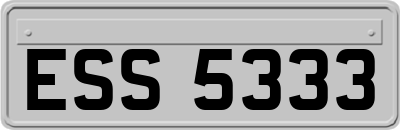 ESS5333