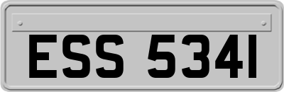 ESS5341