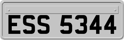 ESS5344