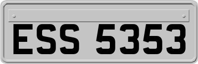 ESS5353