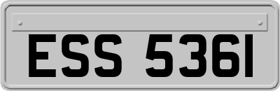 ESS5361