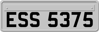 ESS5375