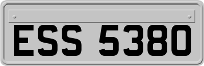 ESS5380
