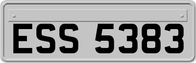 ESS5383