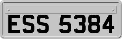 ESS5384