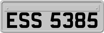 ESS5385