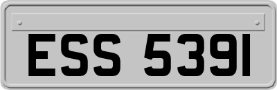 ESS5391