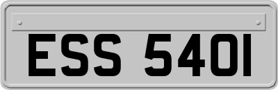 ESS5401