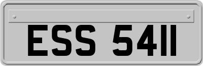 ESS5411