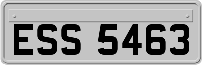 ESS5463