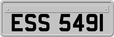 ESS5491
