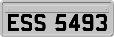 ESS5493