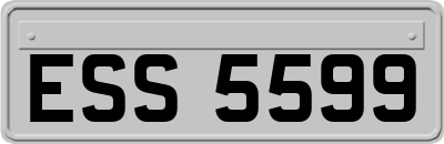 ESS5599