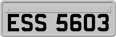 ESS5603