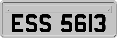 ESS5613