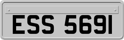 ESS5691