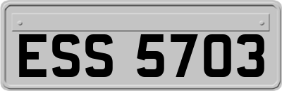 ESS5703