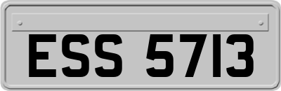 ESS5713