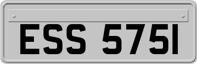 ESS5751