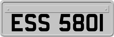ESS5801