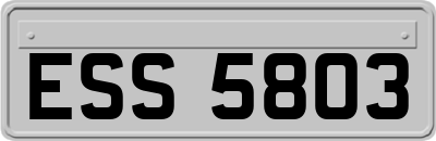 ESS5803