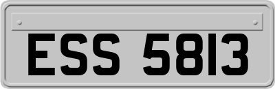 ESS5813