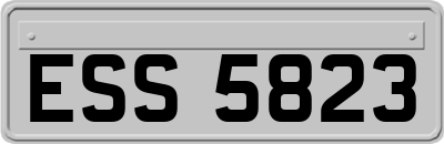 ESS5823