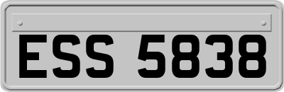 ESS5838