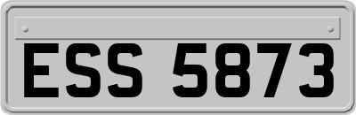 ESS5873
