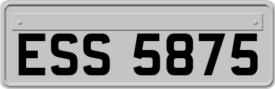 ESS5875