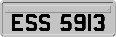 ESS5913