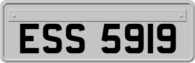 ESS5919