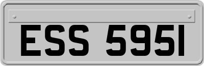 ESS5951