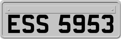ESS5953