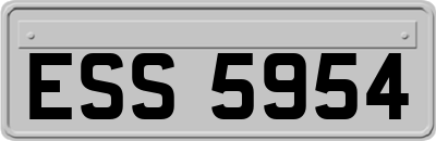 ESS5954