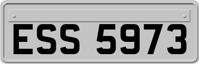 ESS5973