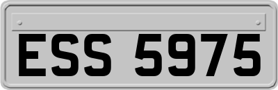 ESS5975