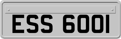 ESS6001