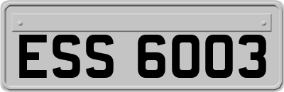 ESS6003
