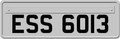 ESS6013