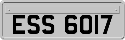ESS6017